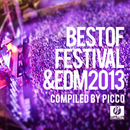 Album cover of Best of Festival & Edm 2013 (Compiled By Picco)