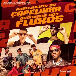 Album cover of Aquecimento Do Capelinha: Quadrado Dos Fluxo