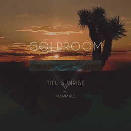 Album cover of Till Sunrise (feat. Mammals)