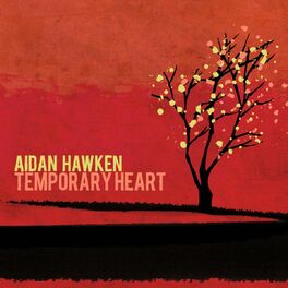 Album cover of Temporary Heart