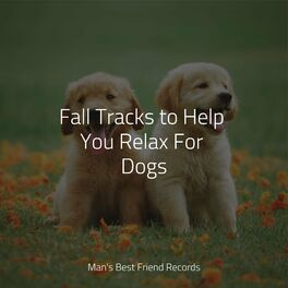 Album cover of Fall Tracks to Help You Relax For Dogs