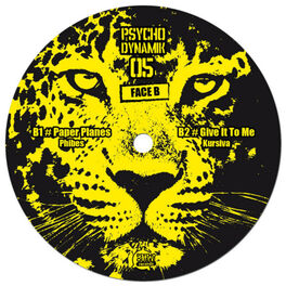 Album cover of Psychodynamik 05