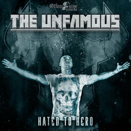 Album cover of Hated To Hero