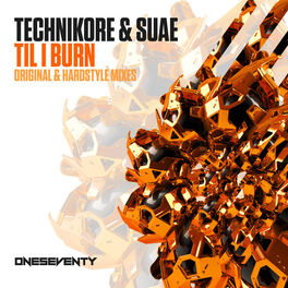 Album cover of Til I Burn