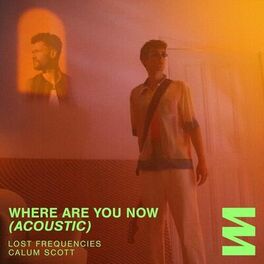 Album picture of Where Are You Now  (Acoustic)