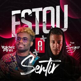 Album cover of Estou A Sentir