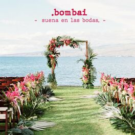 Album cover of Suena en las Bodas