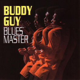 Album cover of Blues Master
