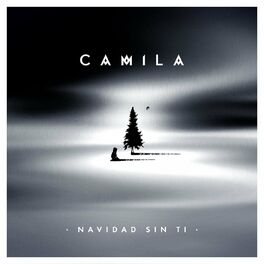 Album cover of Navidad Sin Ti