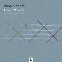 Album cover of Tree of Life
