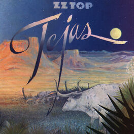 Album cover of Tejas