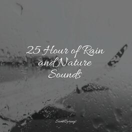 Album cover of 25 Hour of Rain and Nature Sounds