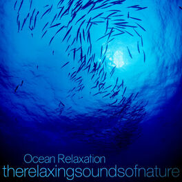 Album cover of Ocean Relaxation - Relaxing Sounds of Nature