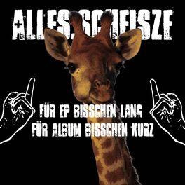 Album cover of Für EP Bisschen Lang Für Album Bisschen Kurz