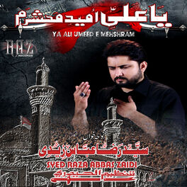 Album cover of Ya Ali Umeed E Mehshram