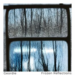 Album cover of Frozen Reflections