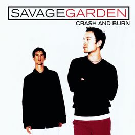 Album cover of Crash And Burn