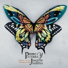 Album cover of 14 de Ciento Volando de 14