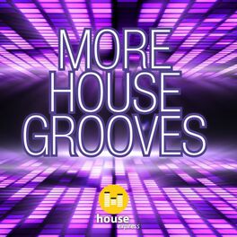 Album cover of More House Grooves