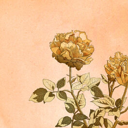 Album cover of one, two
