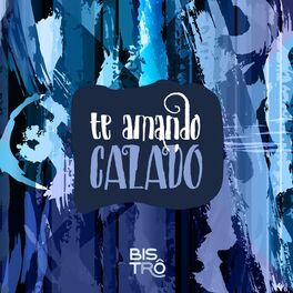 Album cover of Te Amando Calado