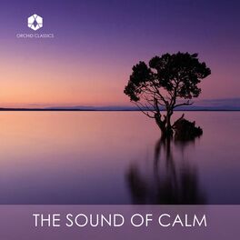 Album cover of The Sound of Calm