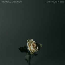 Album cover of Until I Found A Rose