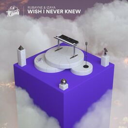 Album cover of Wish I Never Knew