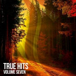Album cover of True Hits, Vol. 7