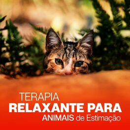 Album cover of Terapia Relaxante para Animais de Estimação: Música para Cães e Gatos Tristeza