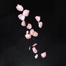 Album cover of Stolen Youth
