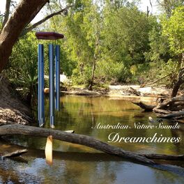 Album cover of Dreamchimes - Wind Chimes in the Australian Bush