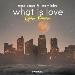 Album cover of What Is Love (feat. Camishe)