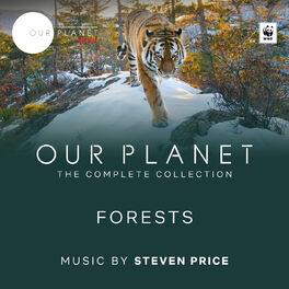 Album cover of Forests (Episode 8 / Soundtrack From The Netflix Original Series 