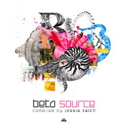 Album cover of Beta Source