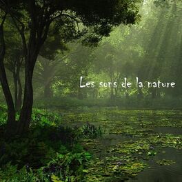 Album picture of Les sons de la nature