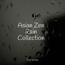 Album cover of Asian Zen Rain Collection