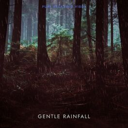 Album cover of Gentle Rainfall