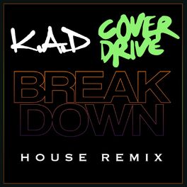 Album cover of Breakdown (House Remix)