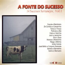 Album cover of A Fonte do Sucesso: 14 Sucessos Sertanejos, Vol. 1