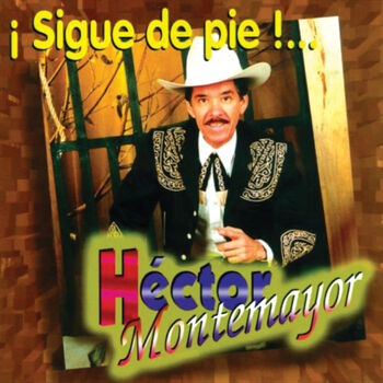 Hector Montemayor - Los Consejos De Mi Padre: listen with lyrics | Deezer