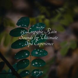 Album cover of 25 Loopable Rain Sounds for Ultimate Spa Experience