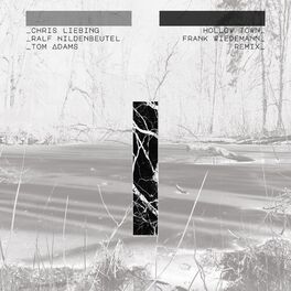 Album cover of Hollow Town (Frank Wiedemann Remix)