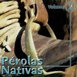 Album cover of Pérolas Nativas, Vol. 2