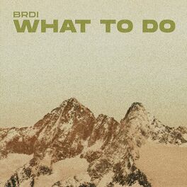 Album cover of What to Do