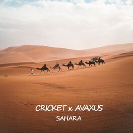 Album cover of Sahara