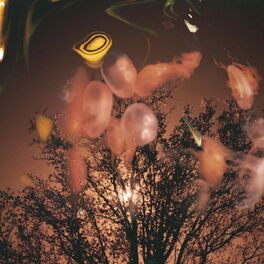 Album cover of Geriye Dönülmez