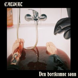 Album cover of Den bortkomne sønn