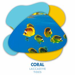 Album cover of Coral Laccadive Tides