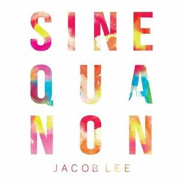 Album cover of Sine Qua Non